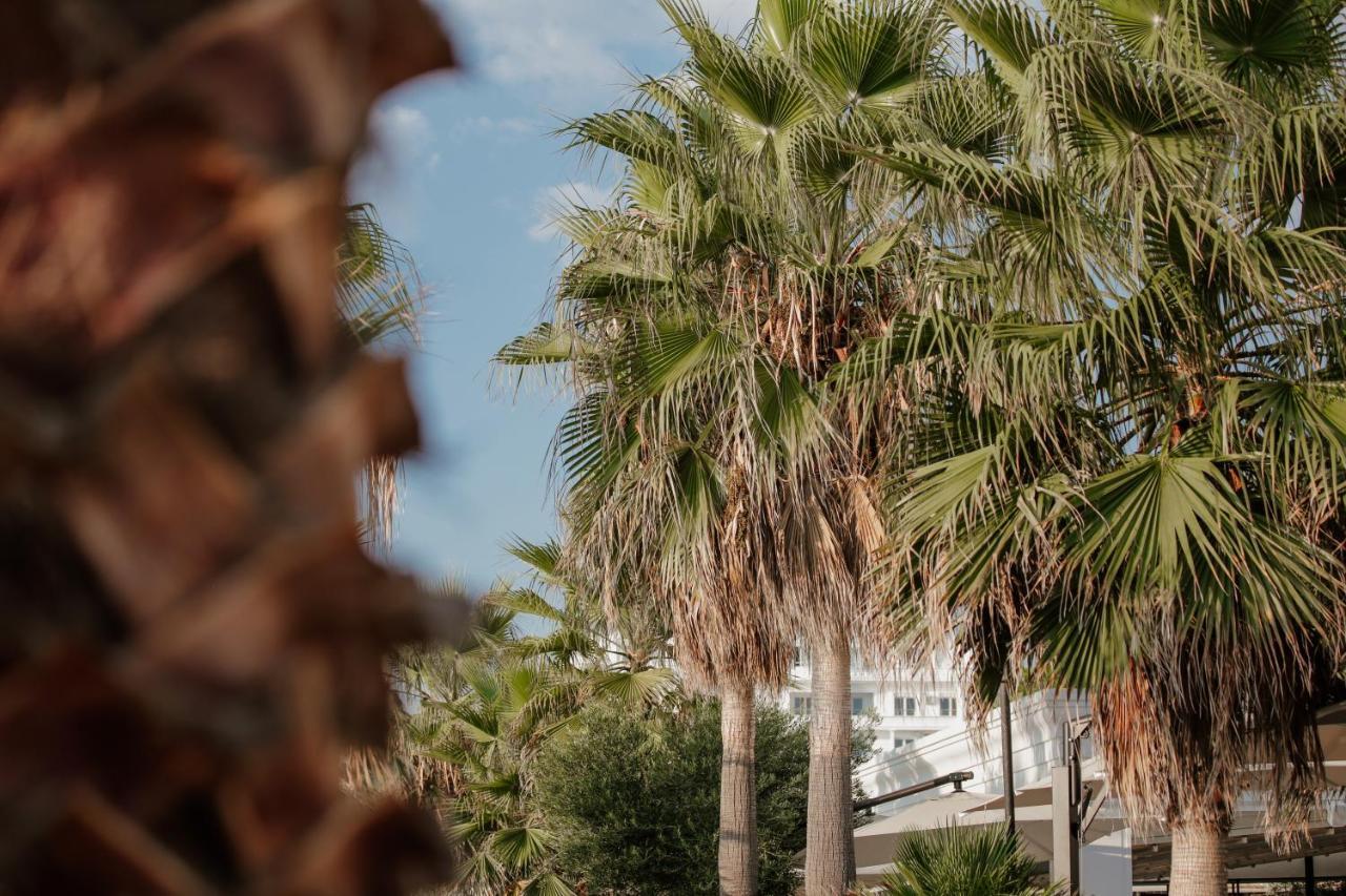 Klajdi Resort & Spa Голем Екстер'єр фото Palm trees in the city
